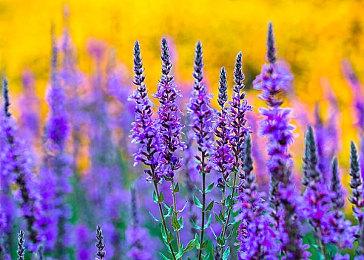 《那由多之轨迹：改》现已在Steam发售 支持中文